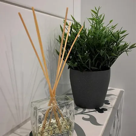 Appartamento Cozy Nest In *